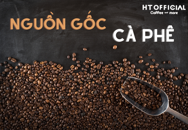 Nguồn gốc cà phê từ đâu?