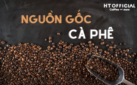 6 Bí Ẩn Đằng Sau Ly Cà Phê Mà Bạn Có Thể Chưa Biết