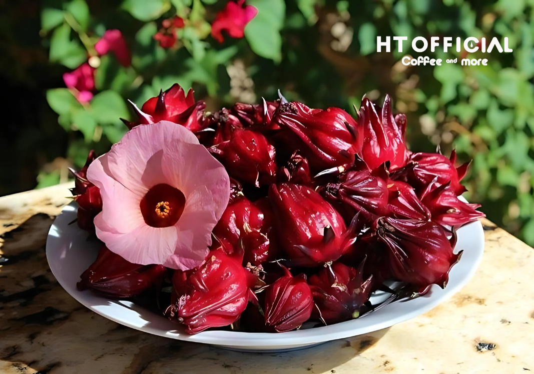 Atiso có chức năng thanh lọc và bảo vệ cơ thể