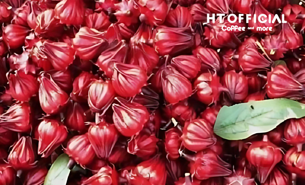 Trà Atiso tăng cường năng lượng và hệ miễn dịch