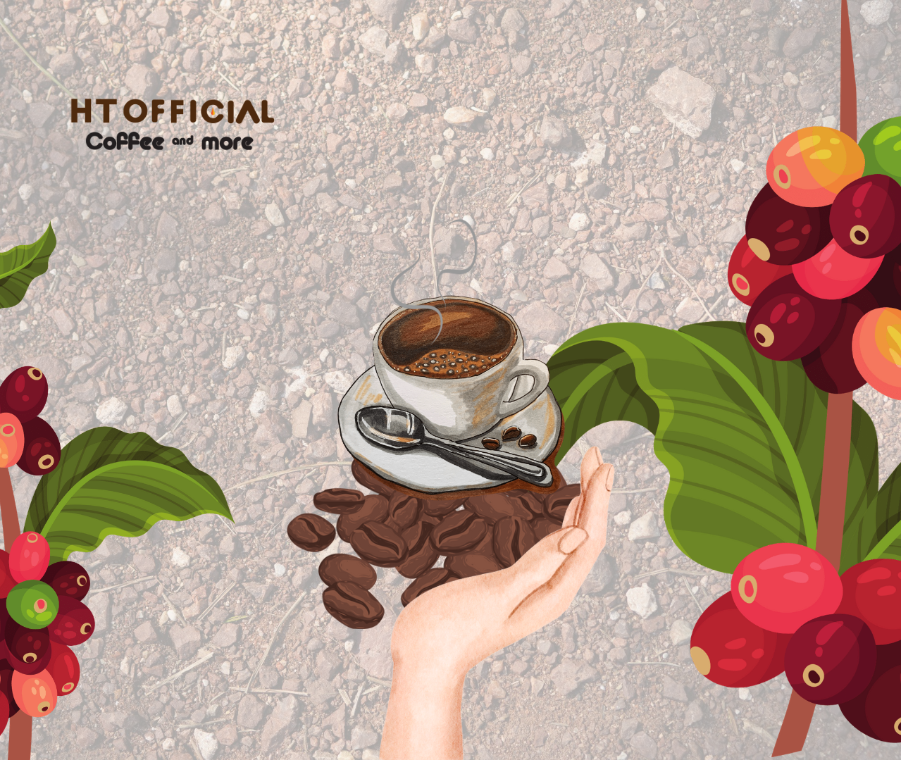 Điều kiện sinh trưởng của hai loại Arabica và Robusta
